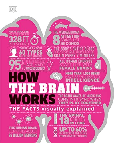 Cover of How the Brain Works