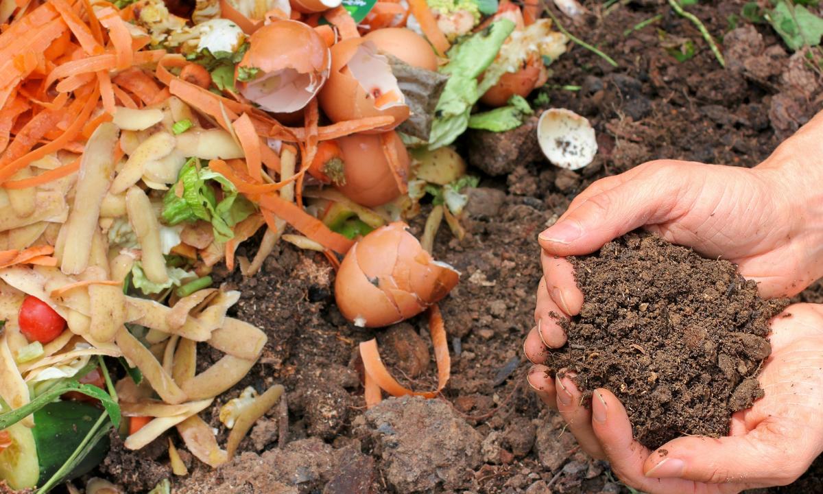 compost